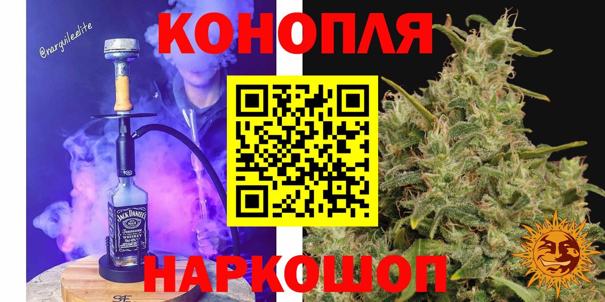 Марихуана ГИДРОПОН  Каннабис конопля  Вход с VPN  Тара  Марихуана план 